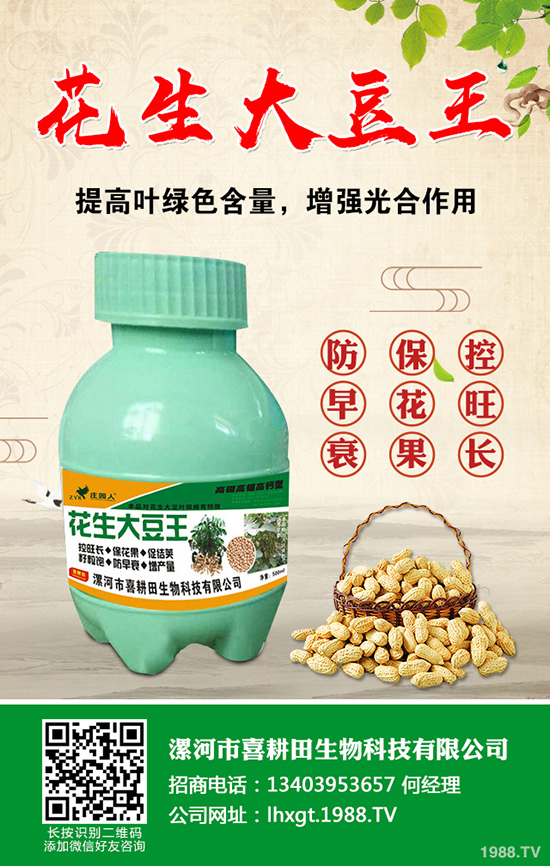 近期磷銨價(jià)格行情走勢(shì)分析2019.8.28