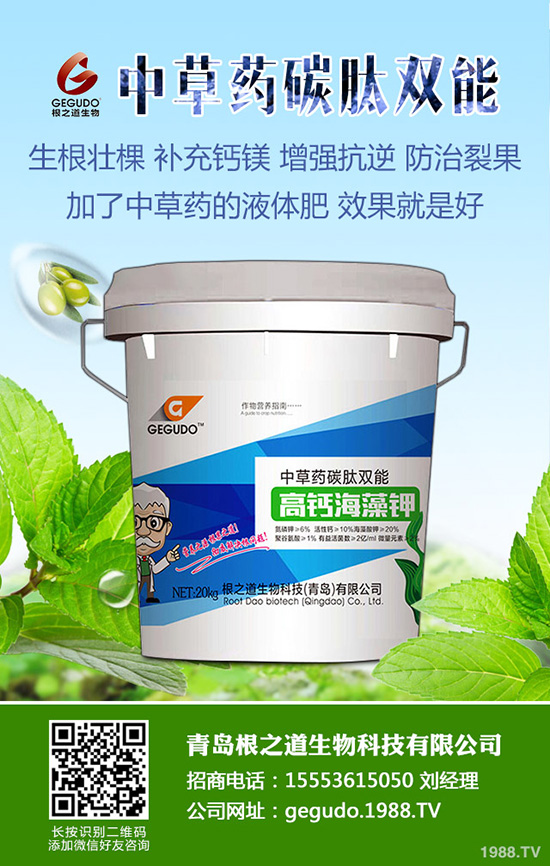 2019-8-28復(fù)合肥價(jià)格市場行情日報(bào)