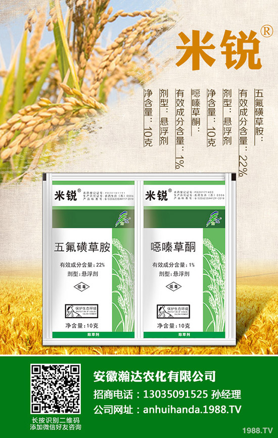 吃菠菜有哪些好處？菠菜的營養(yǎng)價(jià)值有哪些？