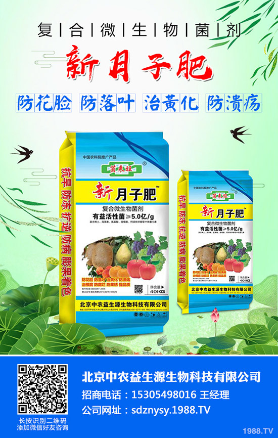 秋季大白菜什么時(shí)候種植合適？秋季大白菜的種植時(shí)間及種植方法