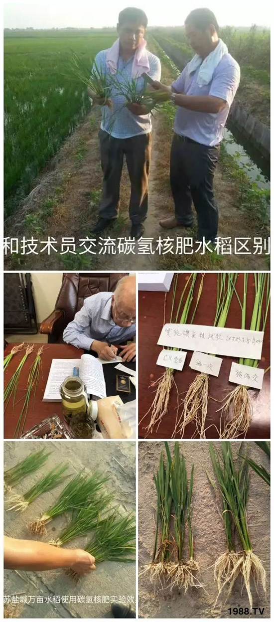 上百家媒體報(bào)道，打造超過(guò)歐盟食品標(biāo)準(zhǔn)作物！碳?xì)浜朔示褪沁@么火爆！