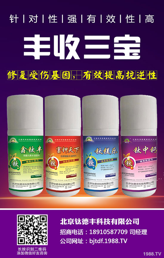 大蒜如何施肥才能高產(chǎn)，大蒜高產(chǎn)施肥技術(shù)！