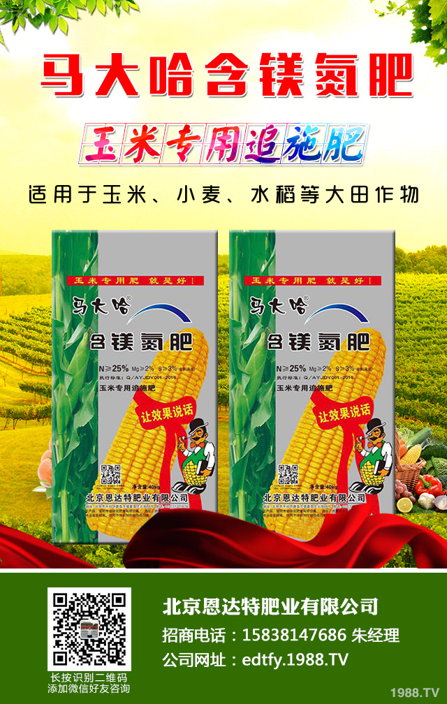 ���[��������ô���������[�������ɹ���