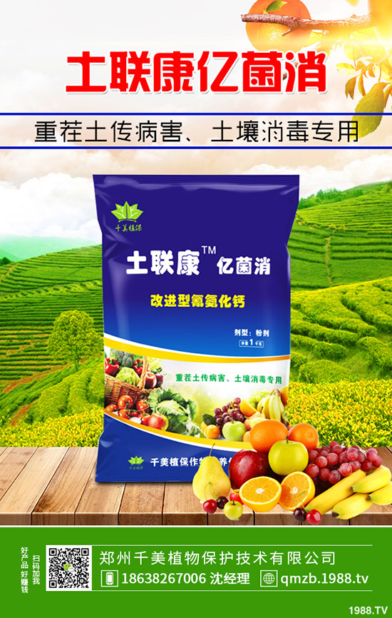     秋季大棚辣椒如何管理？秋季溫室辣椒定植管理技術(shù)！