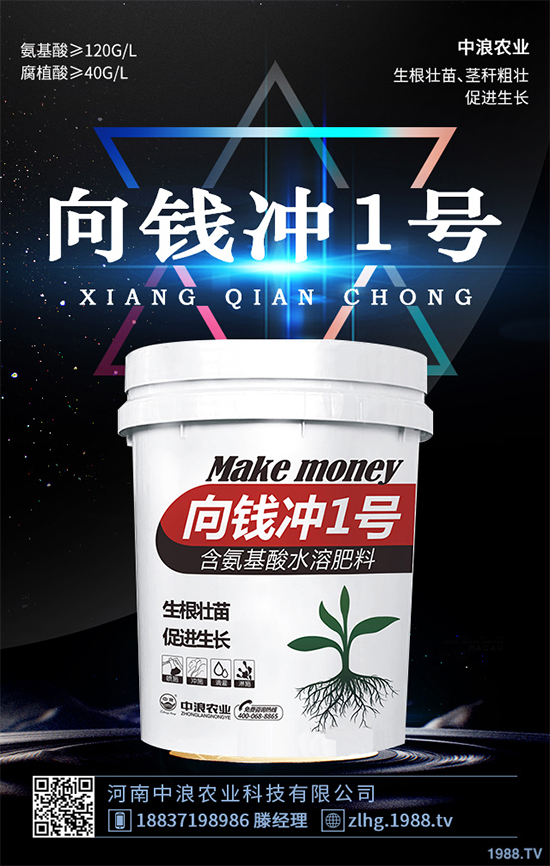 芥菜什么時候種植效益更好？芥菜高產(chǎn)種植技術(shù)要點