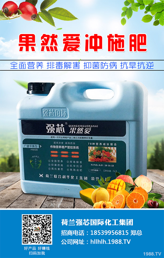 芥菜種植需要注意什么？芥菜高效種植技術(shù)及管理事項