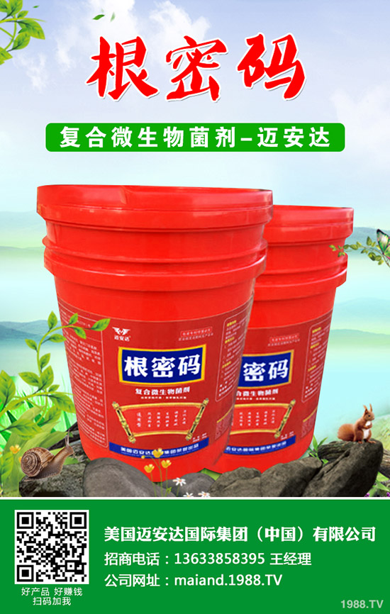 �����Jʲô�r(sh��)��Nֲ�������J�Nֲ���g(sh��)��