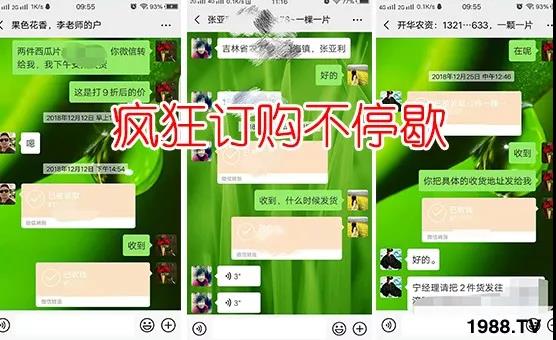 蚜蟲、飛虱防不?。恳黄庉p松搞定！預(yù)防率95%，持效長達(dá)120天！