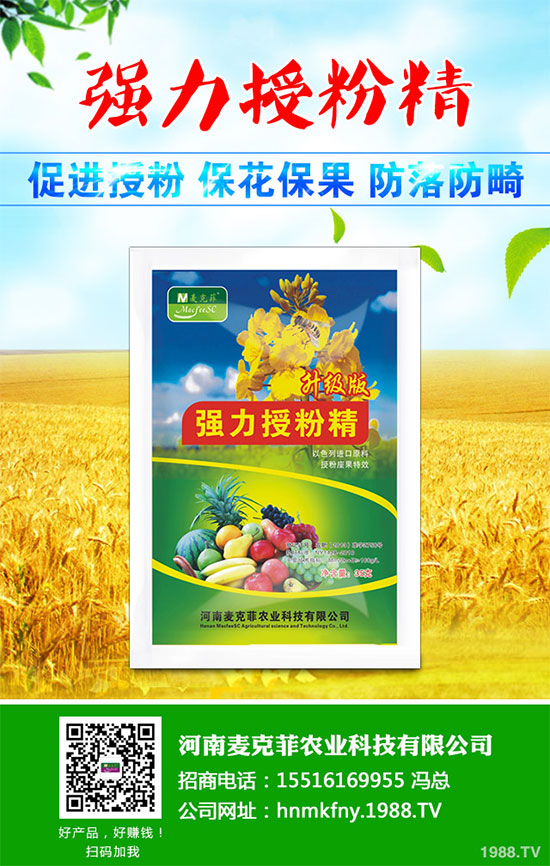 芥菜有哪些營養(yǎng)價值？吃芥菜有哪些好處？芥菜的功效與作用