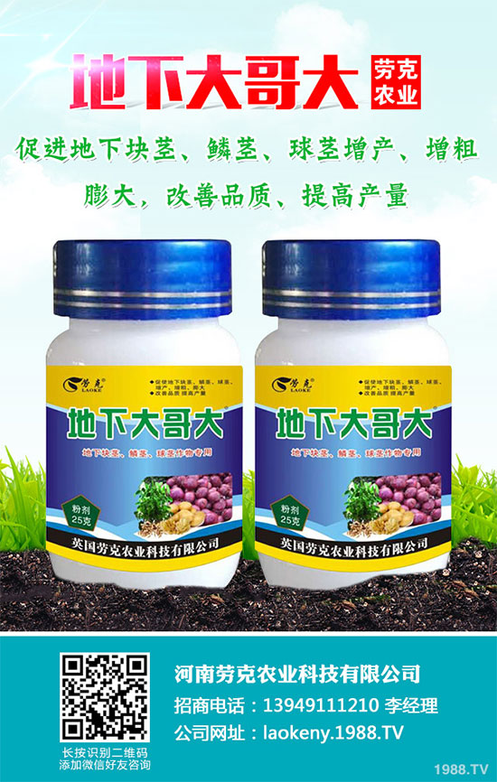 芥菜有哪些營養(yǎng)價值？吃芥菜有哪些好處？芥菜的功效與作用