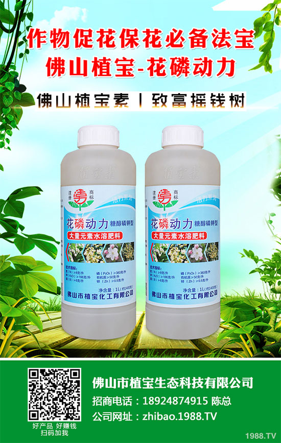 秋季大蔥什么時間種植？2019秋茬大蔥種植技術指南