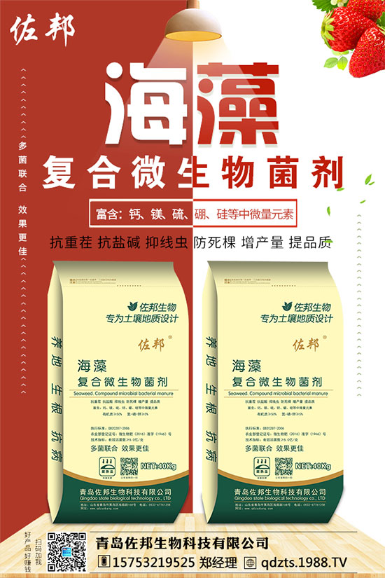 紫薯如何種植？紫薯種植方法和注意事項(xiàng)！