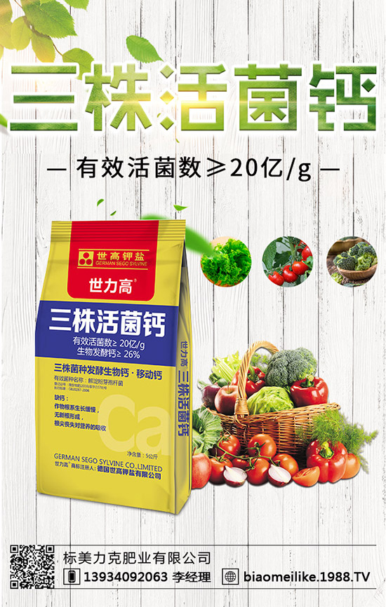 秋黃瓜什么時候栽培好,秋黃瓜栽培的注意事項!