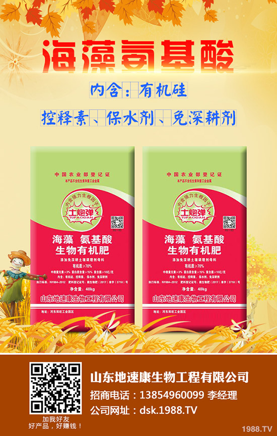     吃甘蔗都有哪些好處？甘蔗的功效與作用有哪些？甘蔗如何選購才更好？