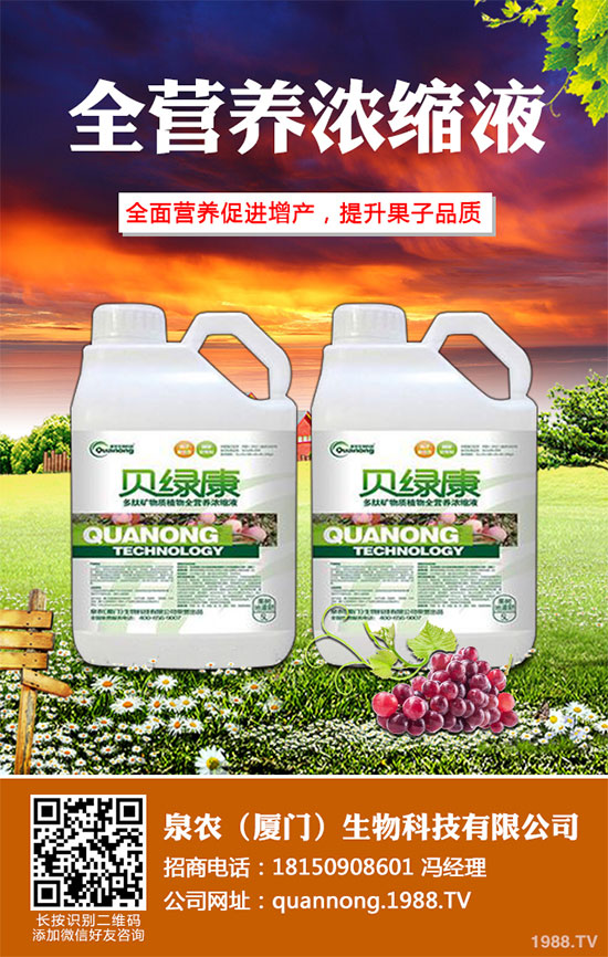 大蔥常見病蟲害有哪些？該如何防治？大蔥病害防治技術(shù)