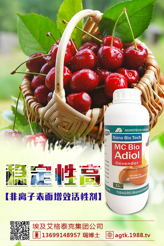 金銀花怎樣種好，金銀花種植要點！