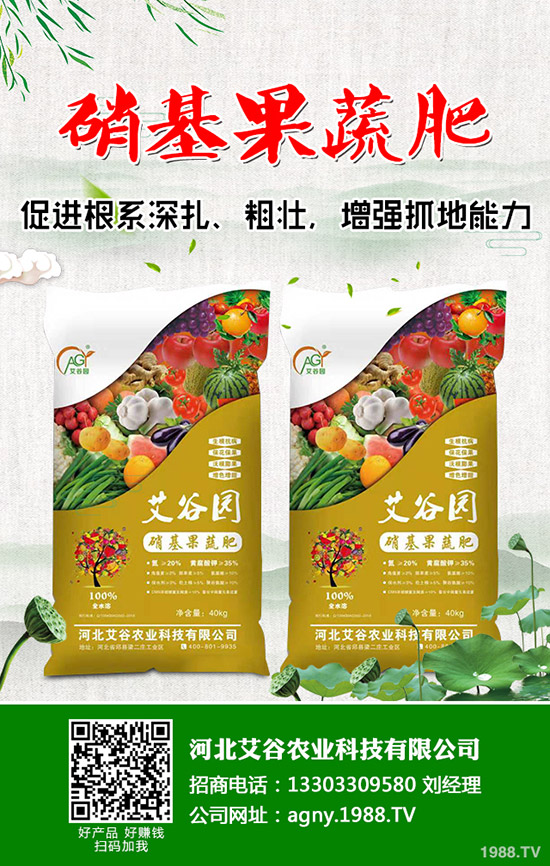 花椰菜與西蘭花的營(yíng)養(yǎng)價(jià)值有什么不同,花椰菜西蘭花的區(qū)別有哪些?