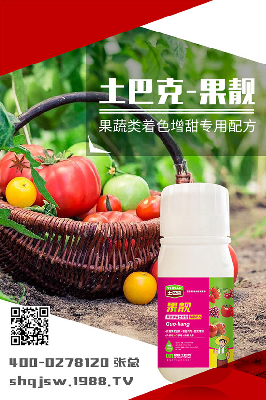 南瓜種植時間是什么時候？南瓜的播種方法及栽培技術(shù)!