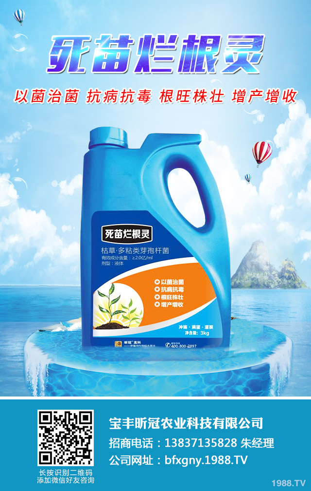 水稻爛秧有什么解決方法？水稻爛秧解決方法