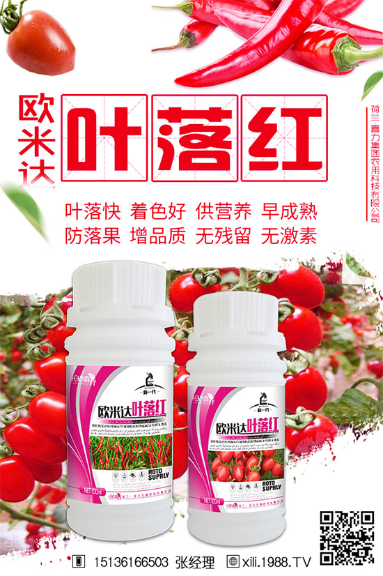 立秋后還能種植韭菜嗎？秋后韭菜管理技巧！