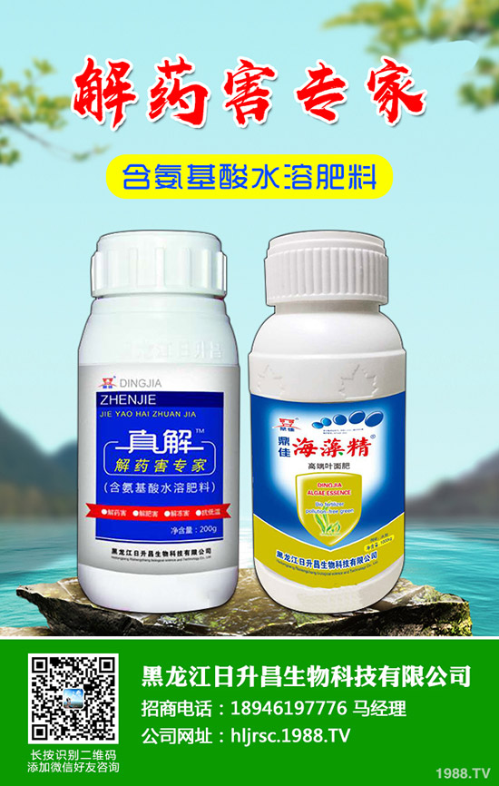 蘋果輪紋病有什么危害，蘋果輪紋病的防治方法！