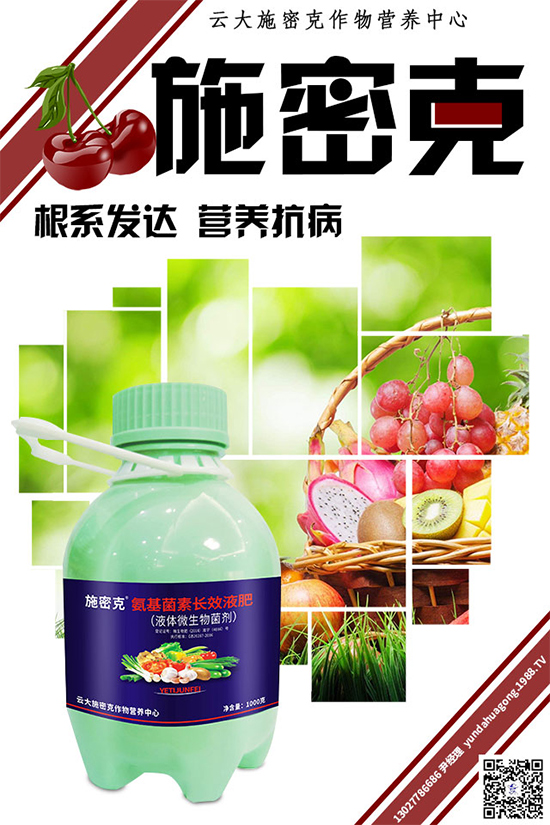 大蔥霜霉病危害巨大，到底是如何引起的？大蔥霜霉病防治措施