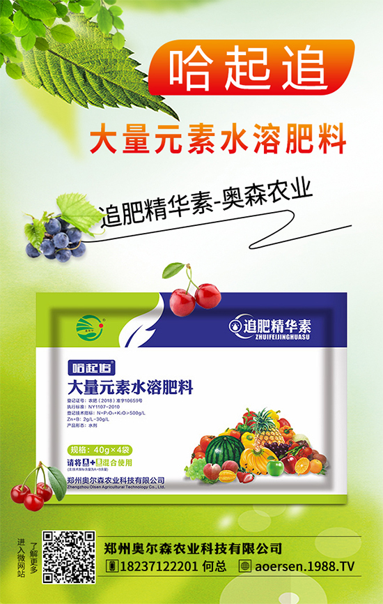 大蔥灰霉病有哪些危害？該如何防治？大蔥灰霉病防治措施