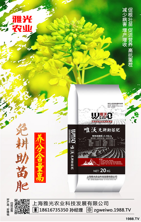 紫薯有哪些營養(yǎng)價值，紫薯與紅薯相比哪個更有營養(yǎng)？