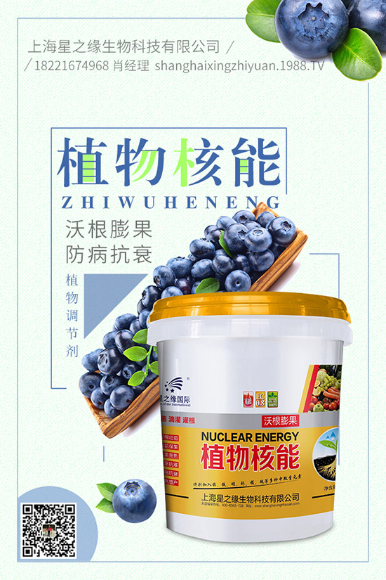 番茄菌核病有哪些癥狀，番茄菌核病危害及防治！