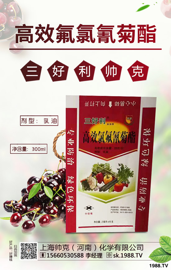 辣木樹(shù)的種植前景如何，如何種植辣木樹(shù)？