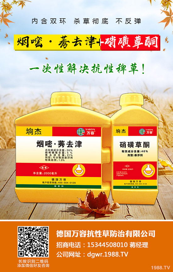 花椒樹怎么嫁接，花椒樹嫁接方法！