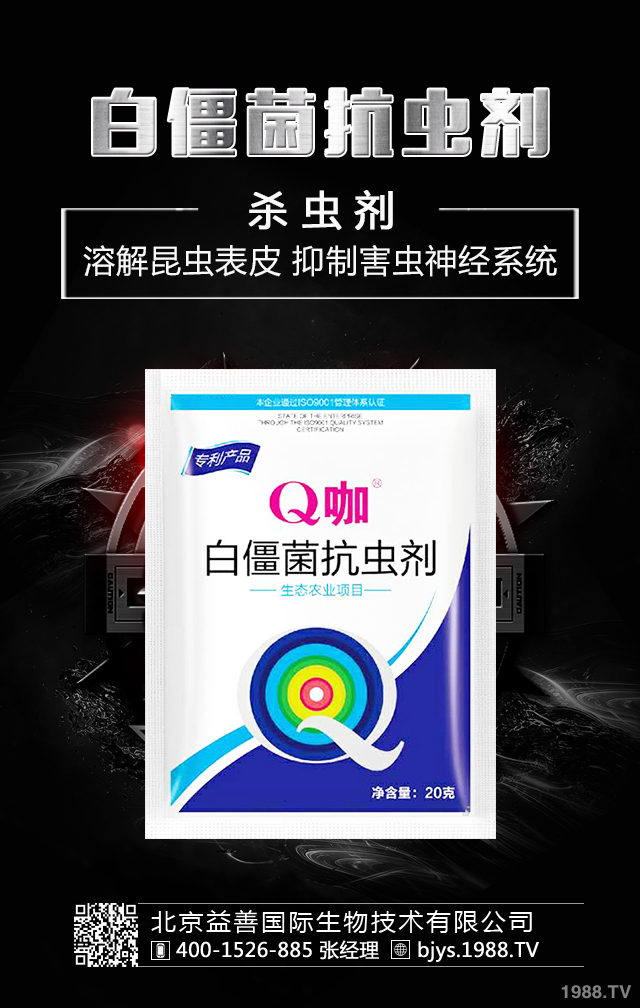 月季病蟲害怎么防治？月季病蟲害防治集錦