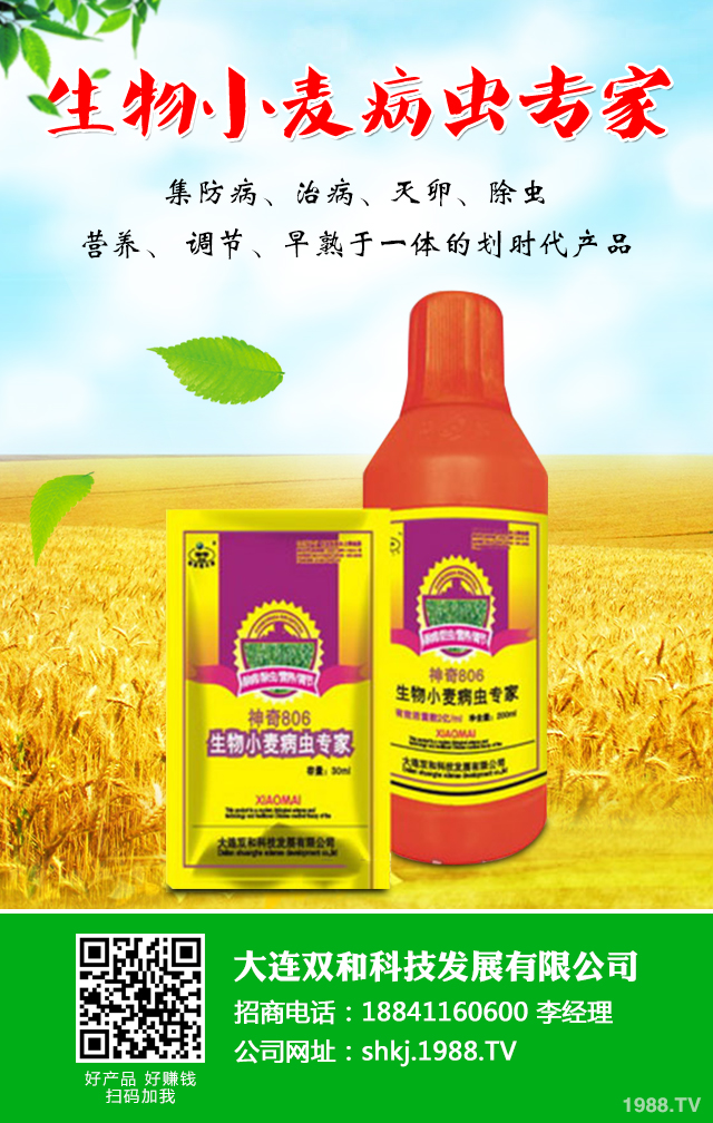 小麥病蟲害危害大！小麥苗期的病害和蟲害介紹