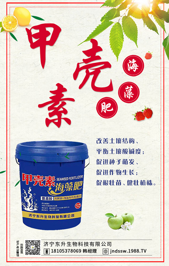 秋季棚室的管理內(nèi)容,秋季大棚蔬菜種植注意事項(xiàng)!