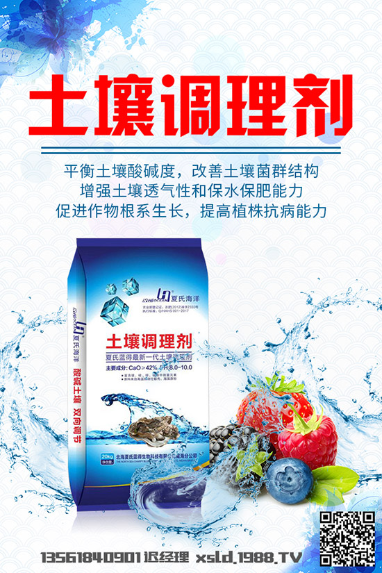 大白菜爛根是什么原因，大白菜爛根的發(fā)生原因及防治方法！