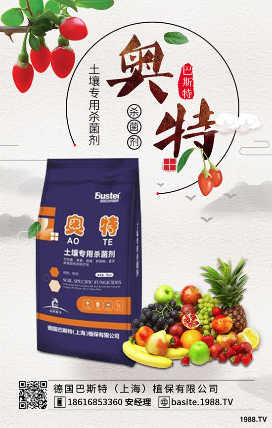 花椰菜出現(xiàn)“散花”怎么辦？花椰菜散花預(yù)防措施！