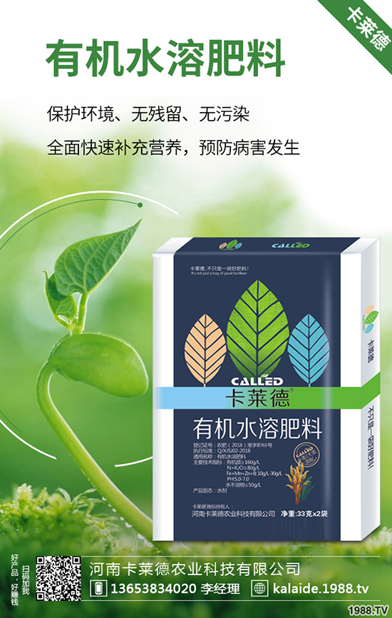 綠蘿長(zhǎng)得太長(zhǎng)怎么辦，綠蘿的修剪方法有哪些？