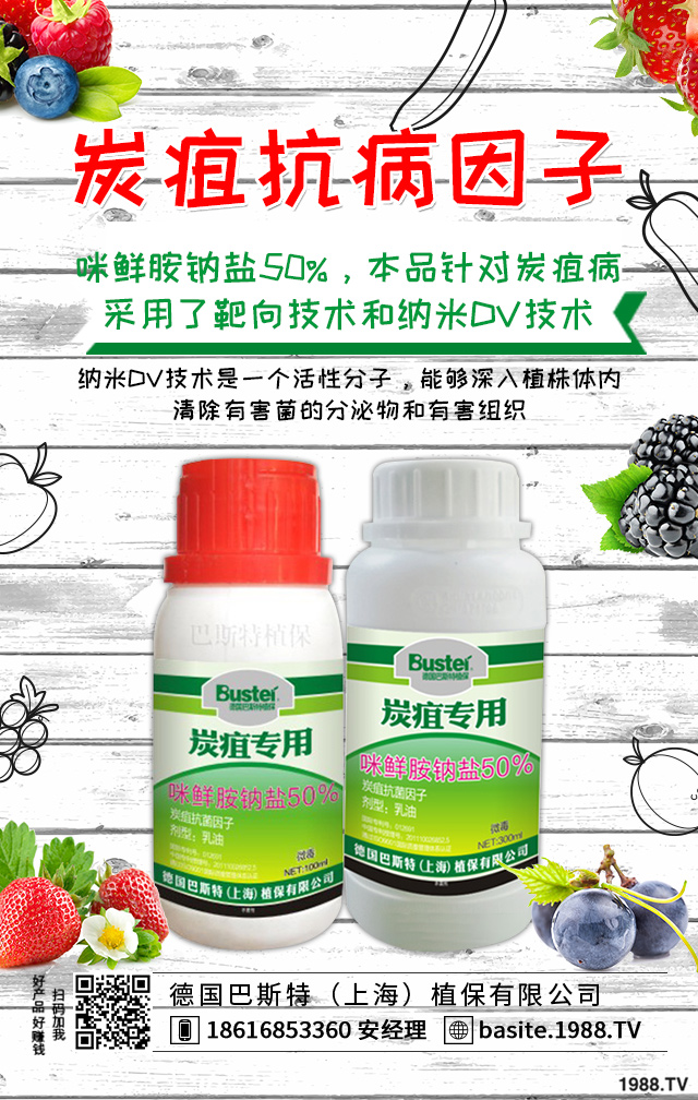 煙草炭疽病怎么辦？煙草炭疽病有效防治技巧