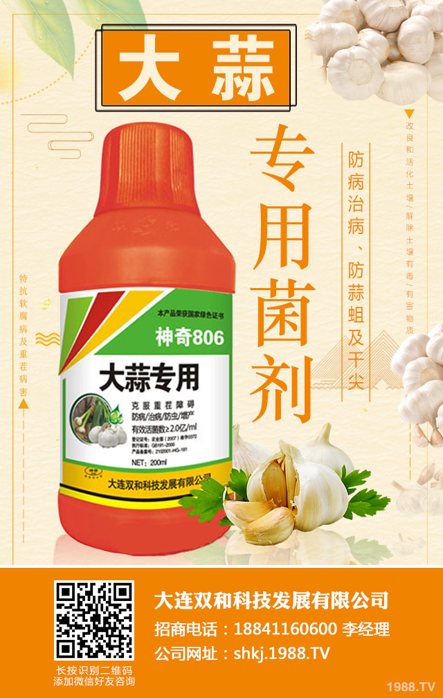 大蒜重茬病害如何防治？大蒜重茬病害防治技巧