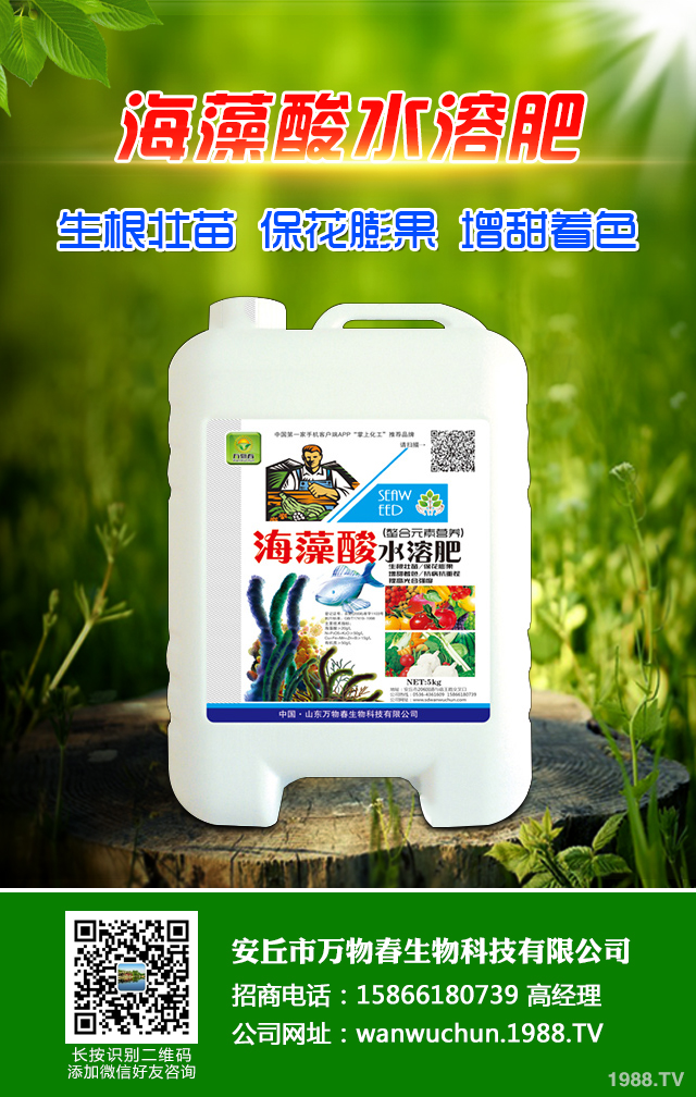 秋播小麥怎么提高質(zhì)量?秋播小麥提高質(zhì)量六要點