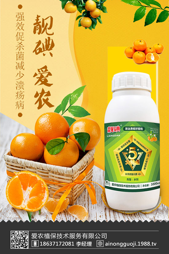 ���m����ηNֲ�����m���Nֲ�r(sh��)�g��������