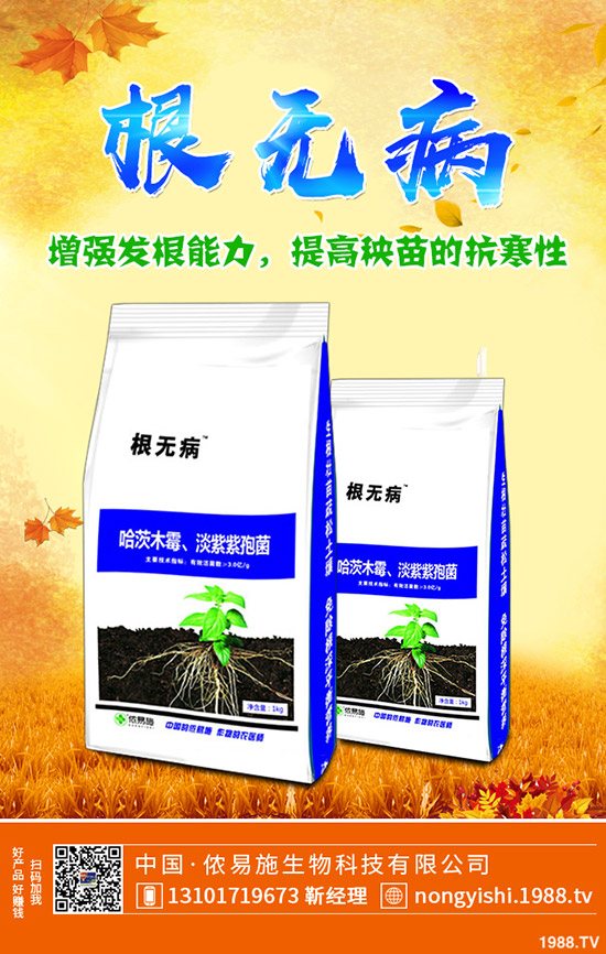     國慶節(jié)前一銨出貨壓力大！最新一銨行情走勢預(yù)測2019-9-30