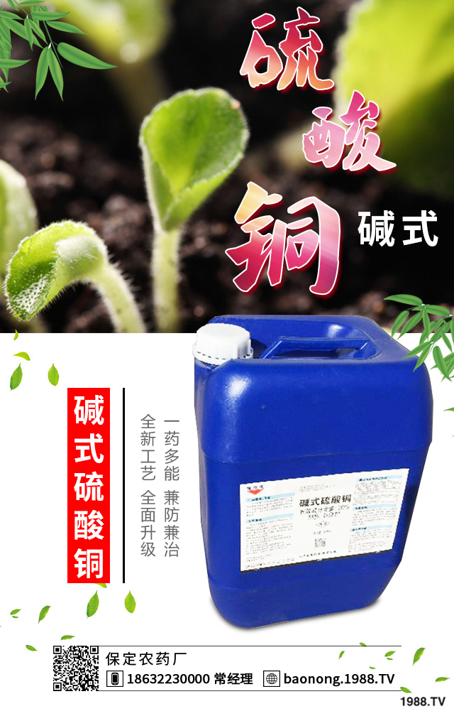 西葫蘆短粗病怎么辦？西葫蘆短粗病的成因和預(yù)防措施