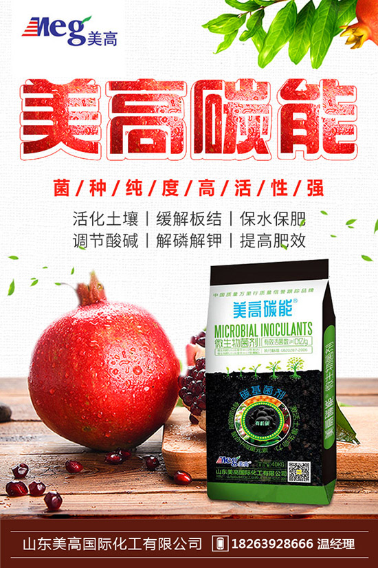     秋季家庭陽臺(tái)種植什么蔬菜好？秋冬陽臺(tái)種菜的方法！