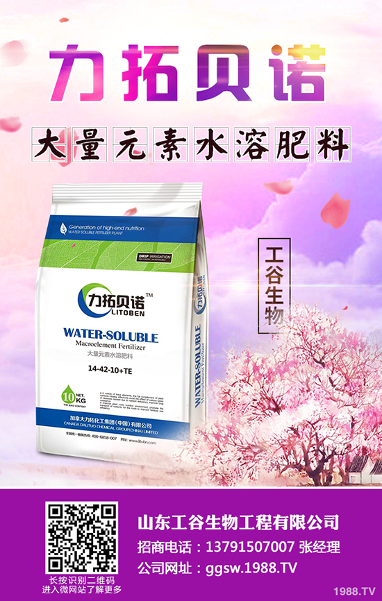 秋冬季小油菜如何種植？秋冬季小油菜種植技術(shù)及田間管理方法！