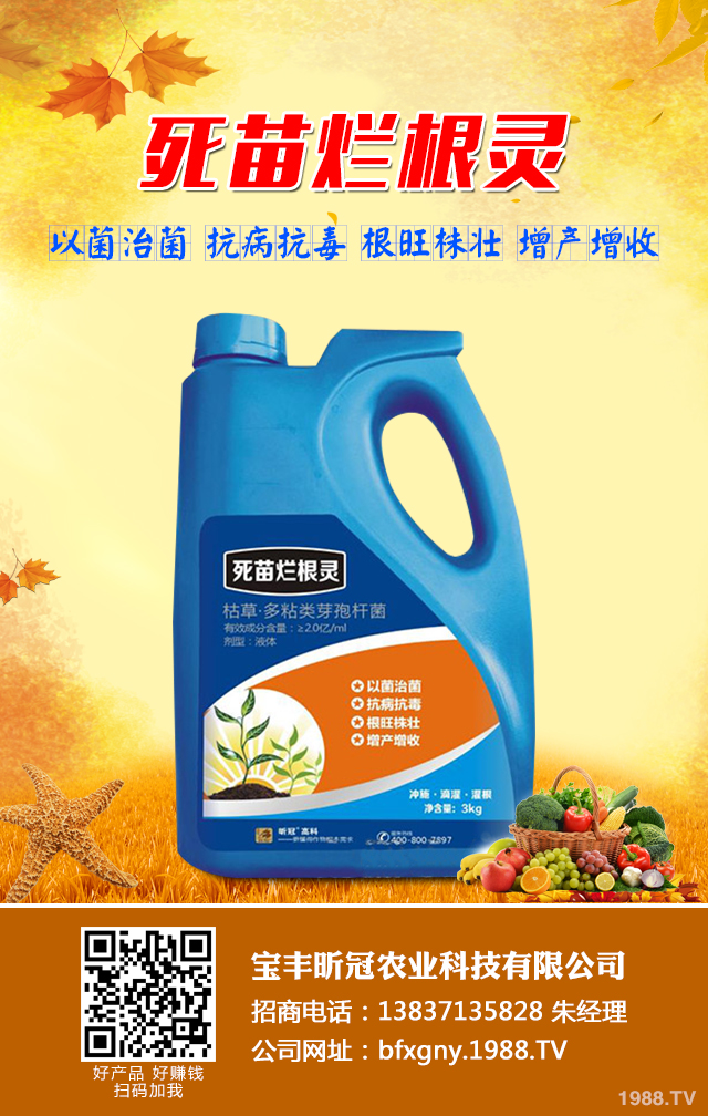 如何去除甘薯常見病蟲害?甘薯常見病蟲害防治技巧