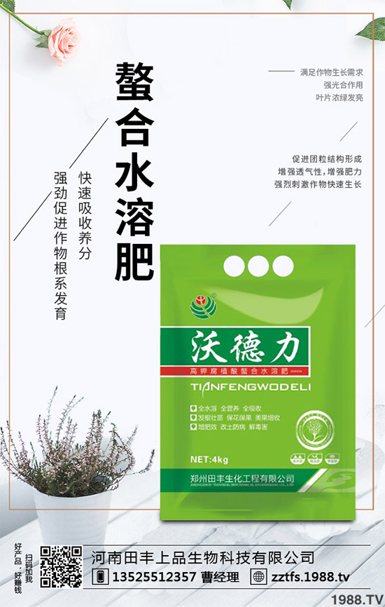 卷心菜有哪些營養(yǎng)價(jià)值？吃卷心菜有哪些好處？教你吃出健康！