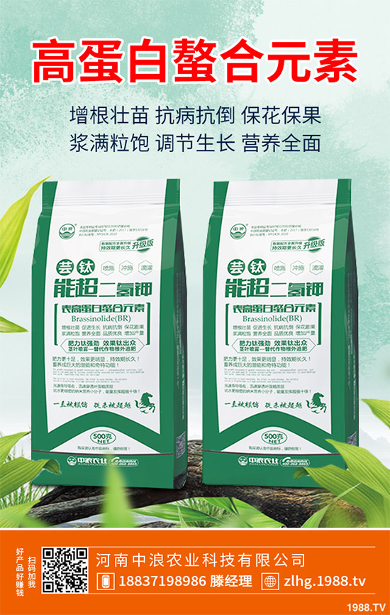 露地卷心菜什么時(shí)候種植？露地卷心菜種植技術(shù)大全