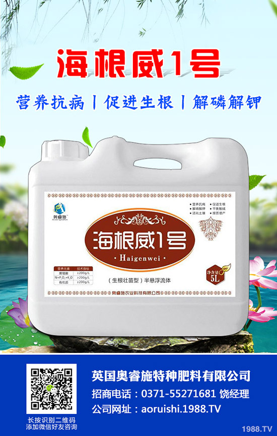 �����^����Щ��̎�����^�ĠI�B(y��ng)�rֵ��ʳ�ý�����