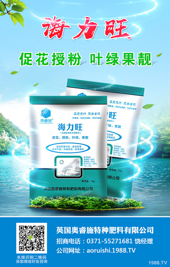 現(xiàn)在種植沙糖桔還賺錢嗎？沙糖桔種植技術(shù)大全